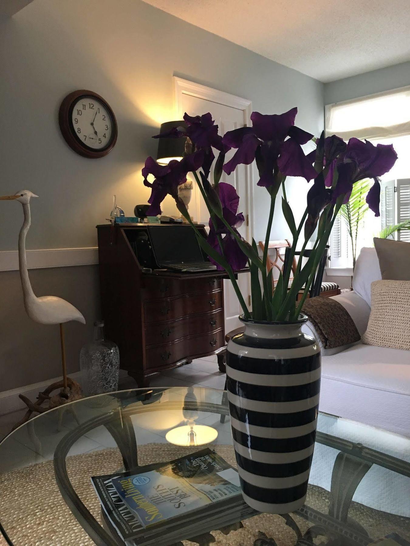 Barclay Cottage Bed And Breakfast 버지니아비치 외부 사진