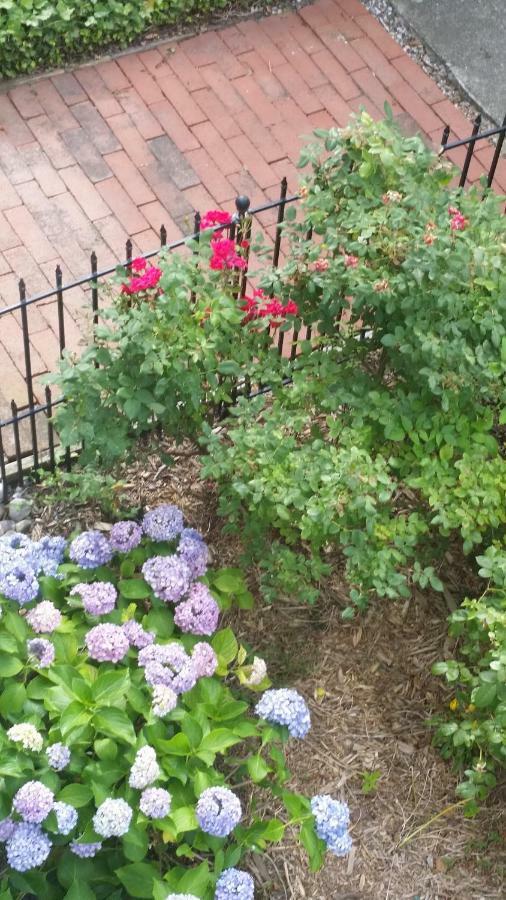 Barclay Cottage Bed And Breakfast 버지니아비치 외부 사진