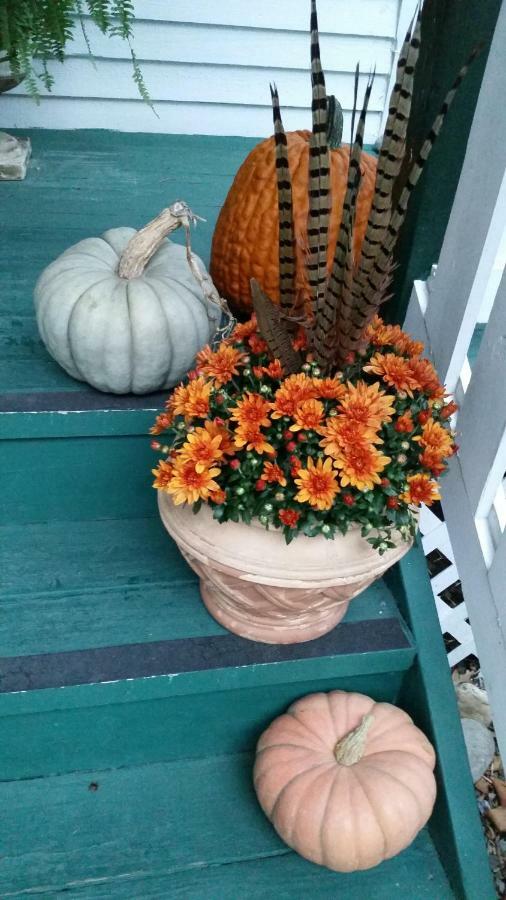 Barclay Cottage Bed And Breakfast 버지니아비치 외부 사진